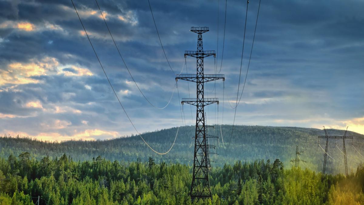 Power grid in the Norwegian countryside