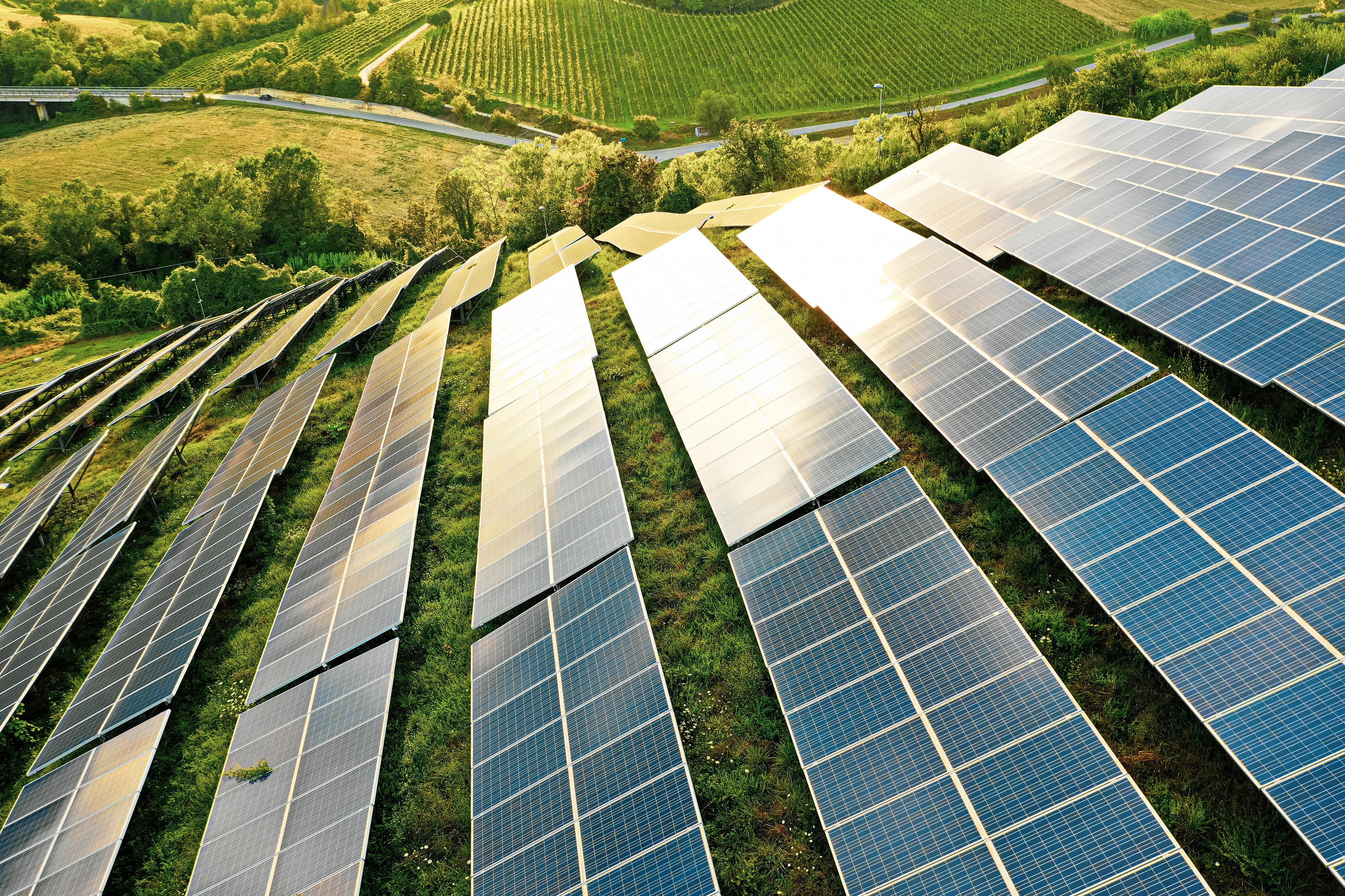 solar panels on a green field