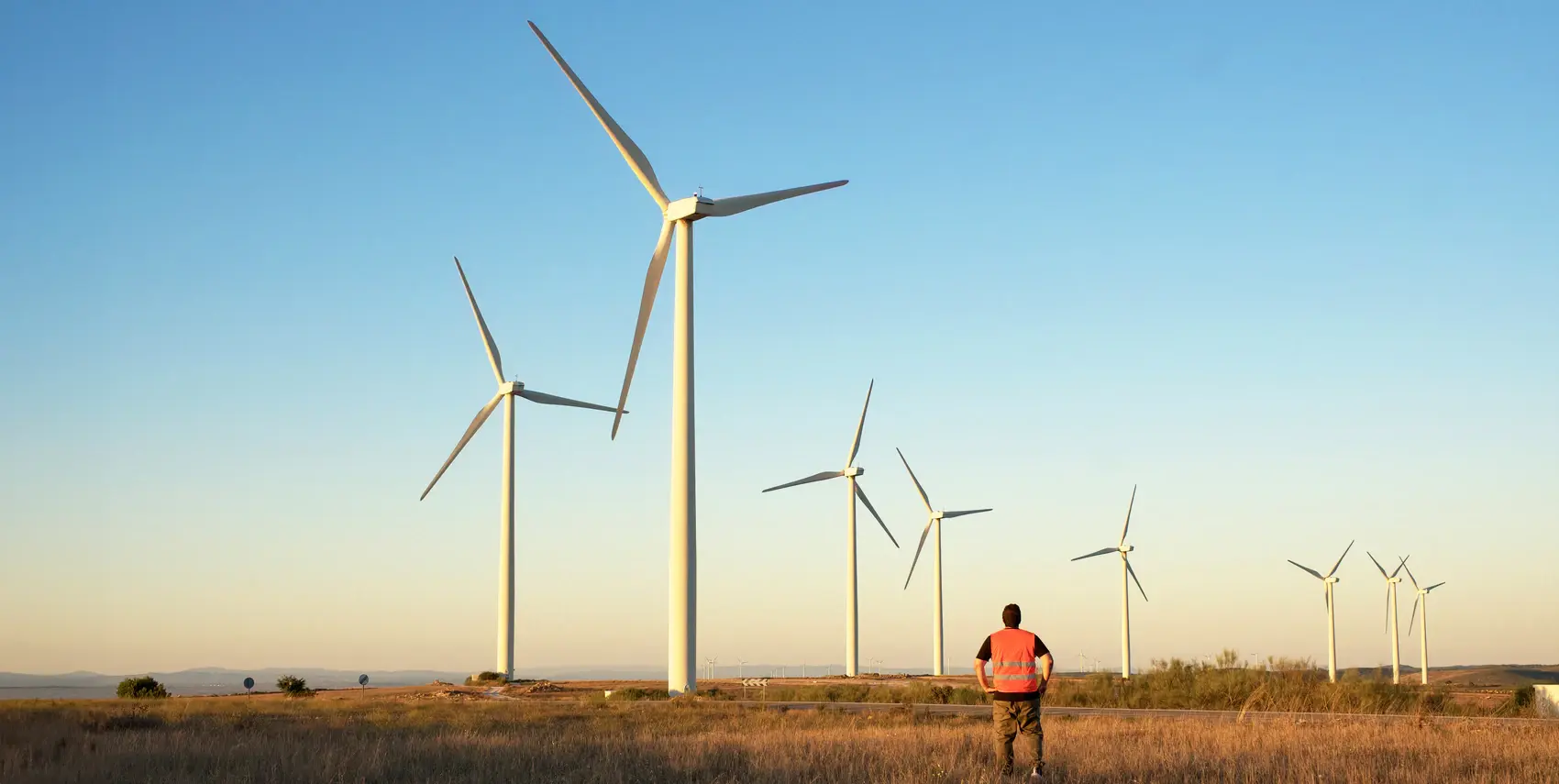 person in front of windmills