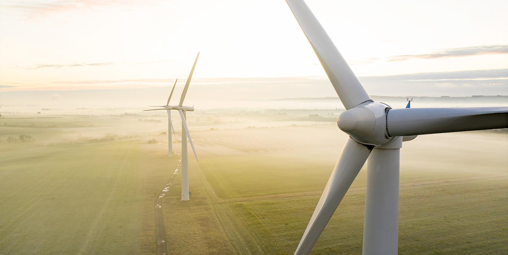 wind mills on a green field