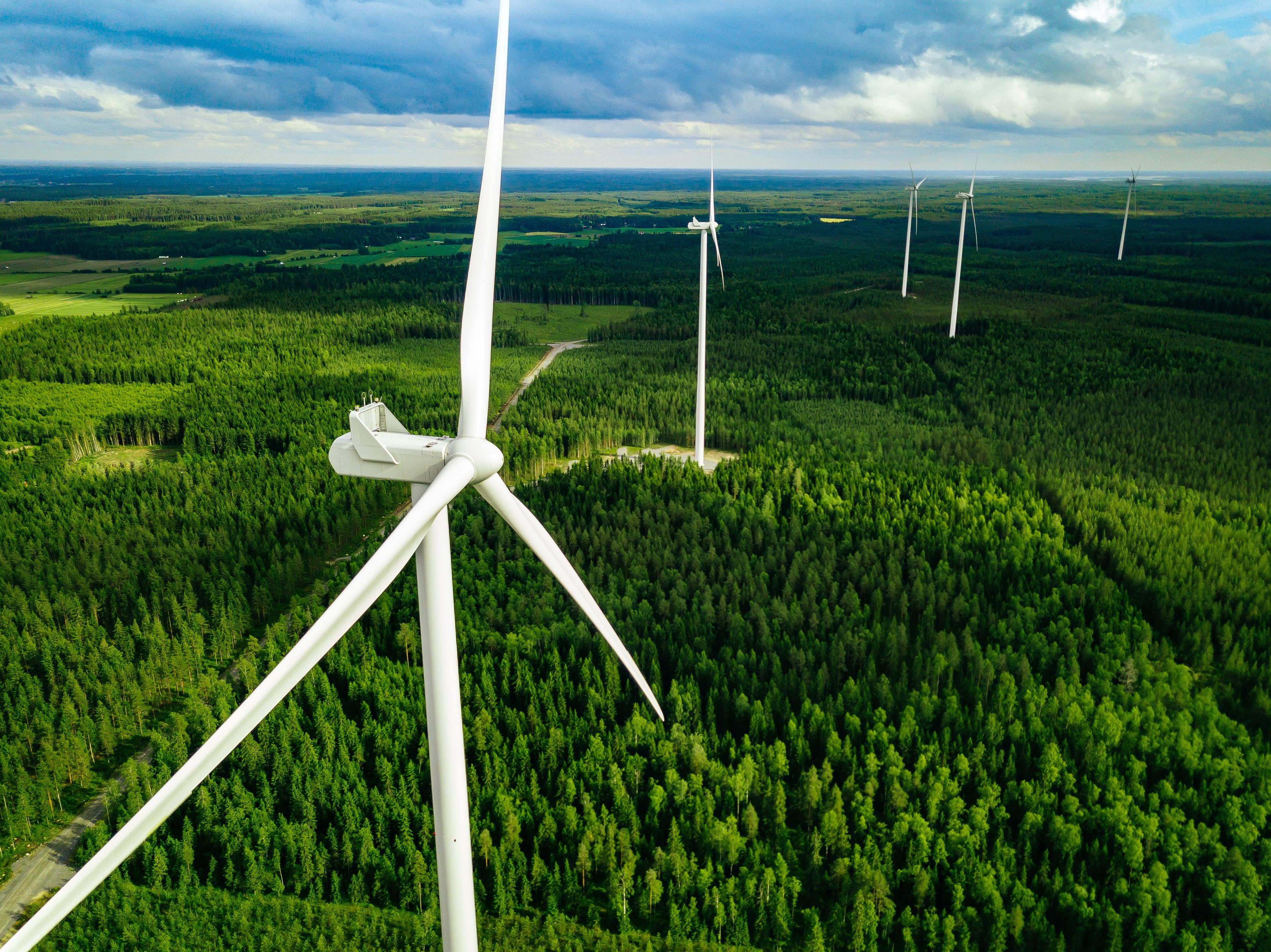 Wind turbines above a green forest