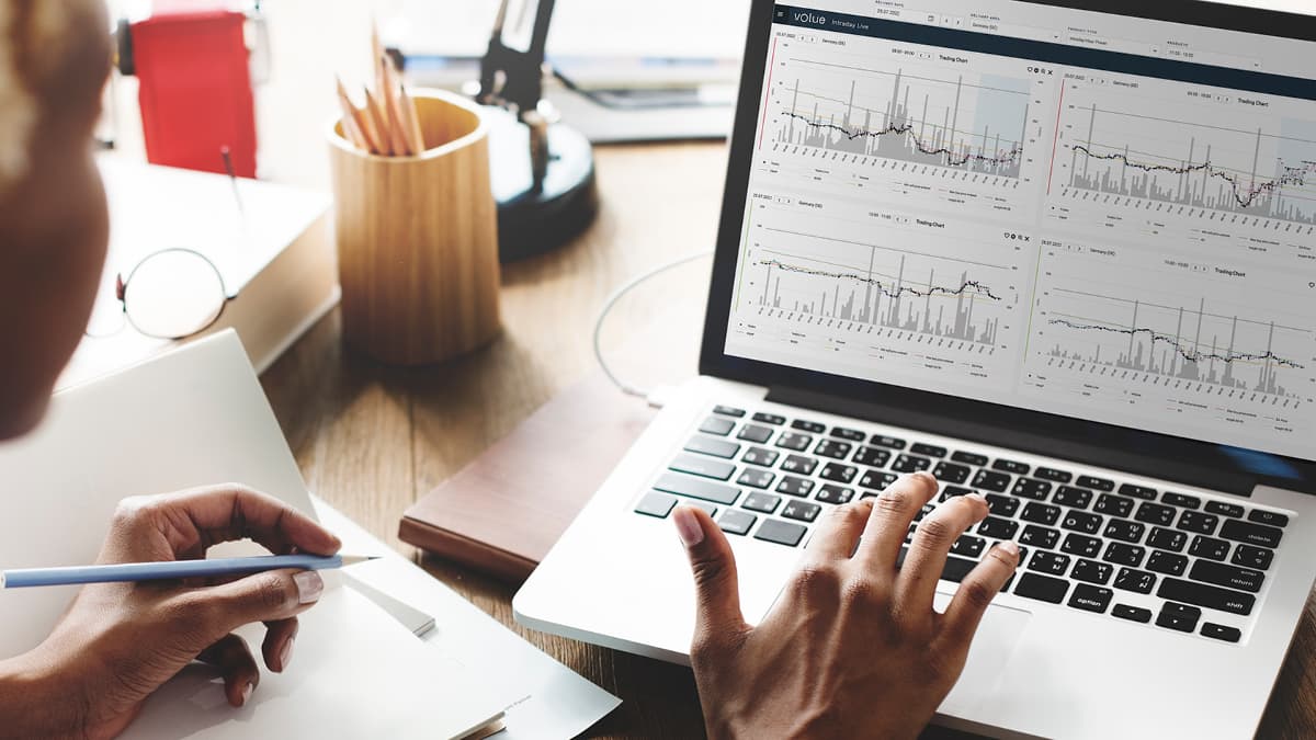 Person working on a laptop with volue software