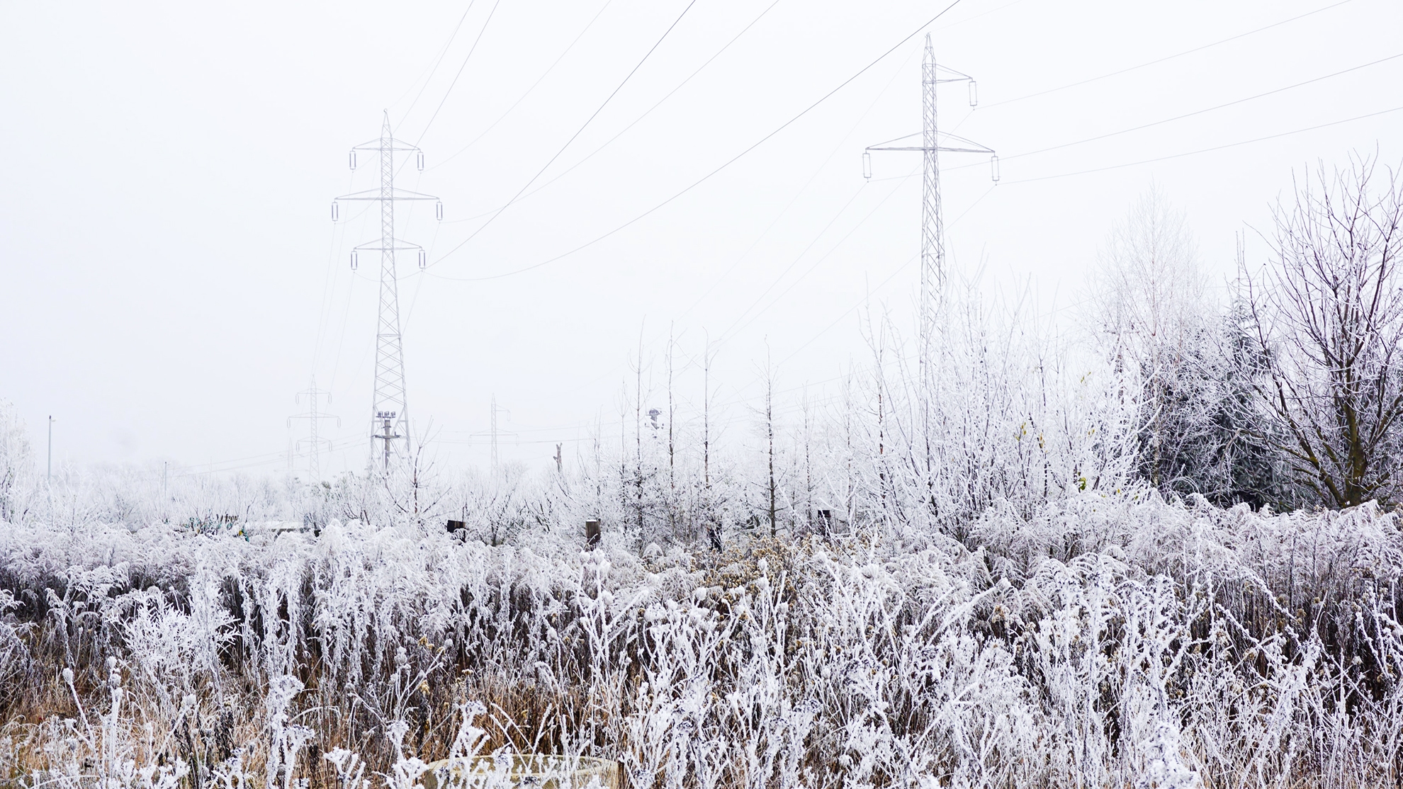 Power grid in the snow