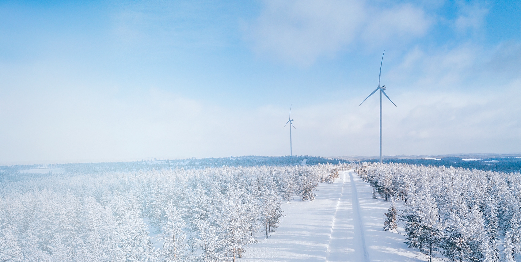 Winter landscape with windmills