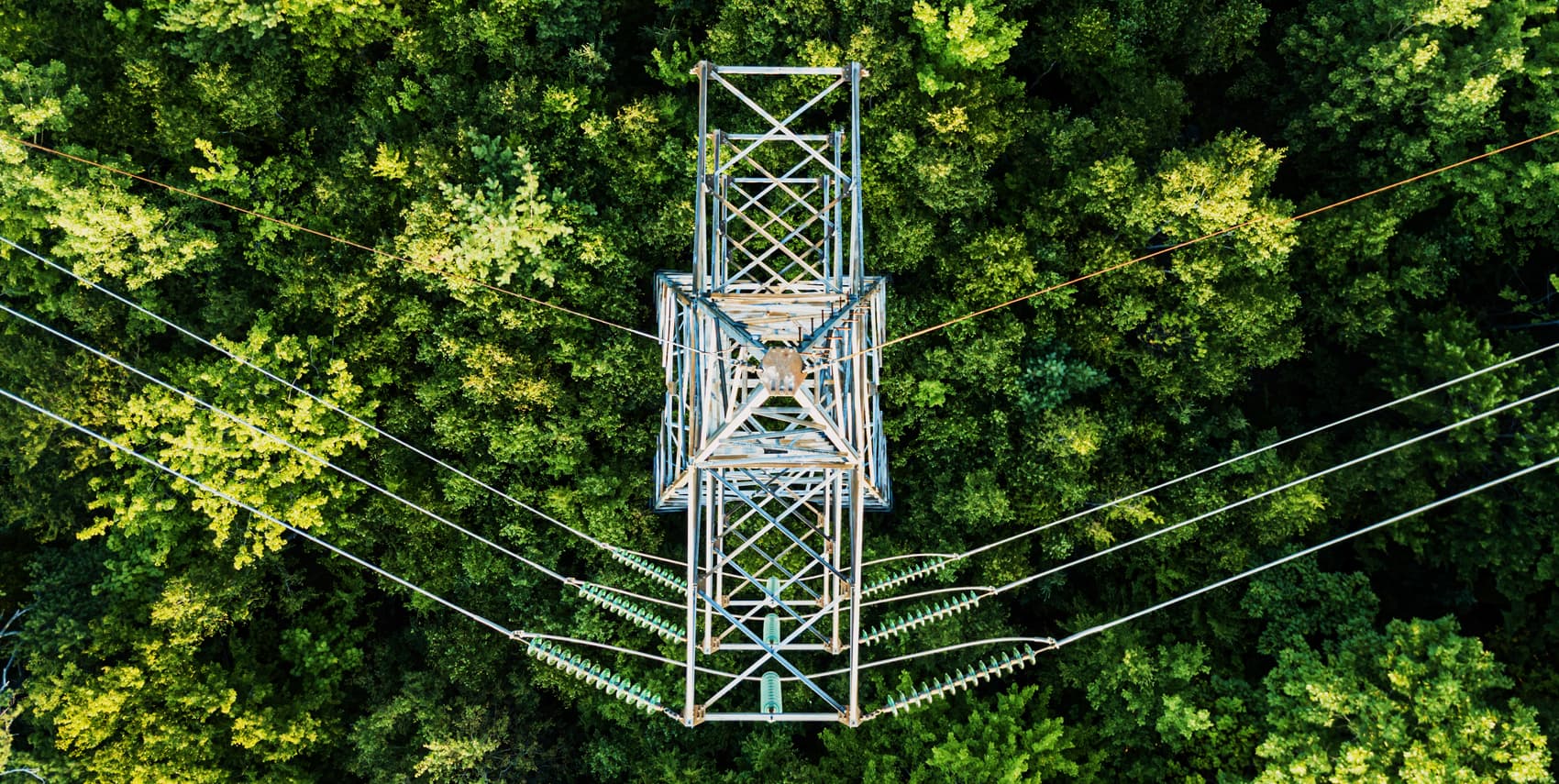 Power line from above with surrounding green trees.