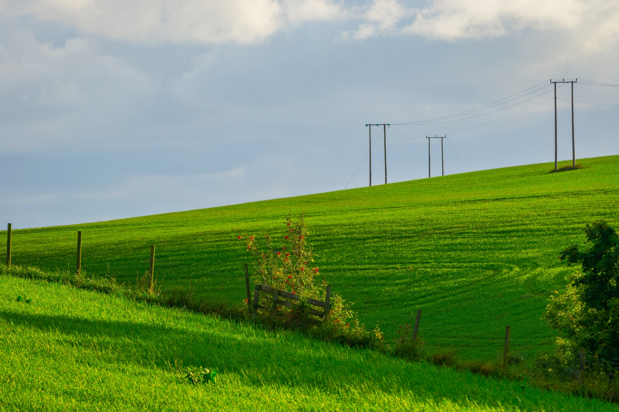 Powerline in a grassfield with white clouds and a fence in the middle