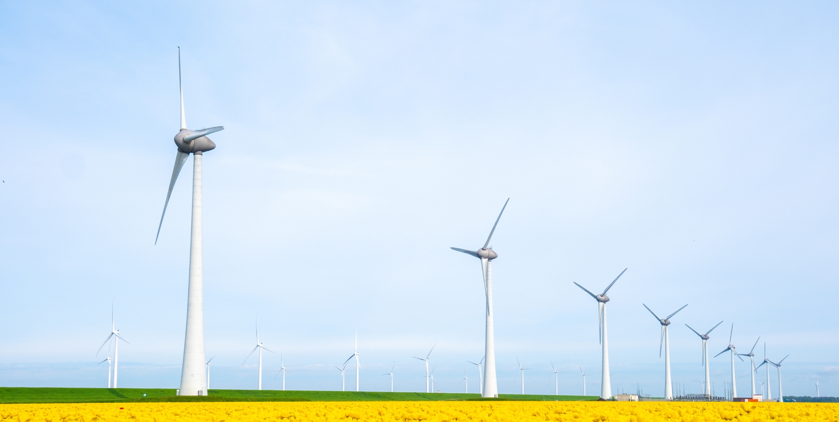 wind mills on a field