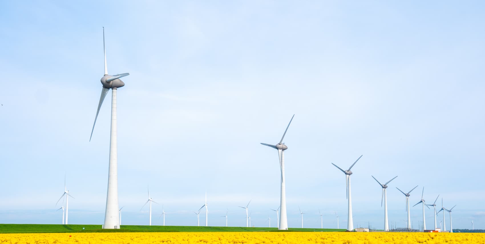 wind mills on a field
